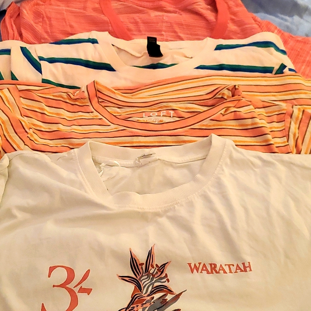 Bundle of 4 tees NWOT. Loft. h&m. universal thread. Wild fable. XL